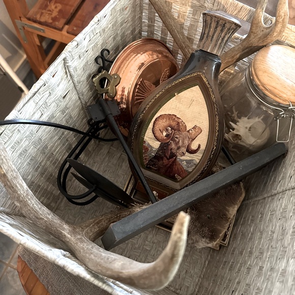 Meet your Posher, Kenna - Picture 1 of 1